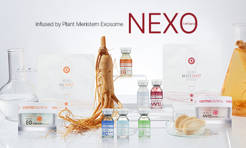 [D&PS] 특집 2025 미용의학 신제품 리뷰